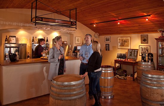 Entoturisti stranieri in una cantina italiana